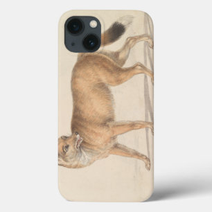 Charles Hamilton Smith - Falkland Islands Wolf iPhone 13 Case