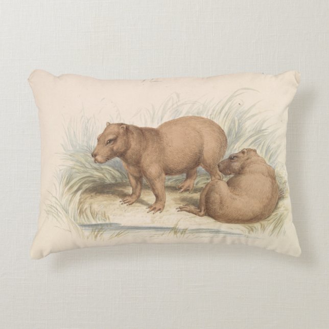 Charles Hamilton Smith - The Capybara Decorative Cushion (Front)