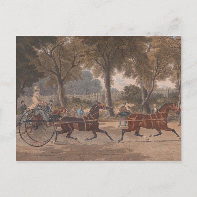 Charles Hunt - Extraordinary Trotting Match Postcard (Front)
