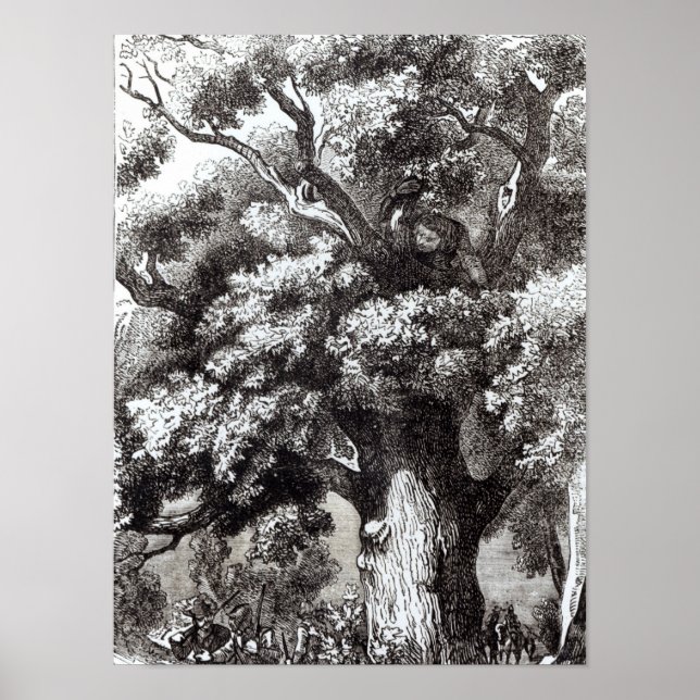 Charles II  Hidden in the Oak Tree Poster (Front)