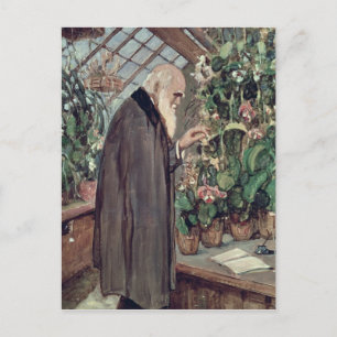 Charles Robert Darwin Postcard