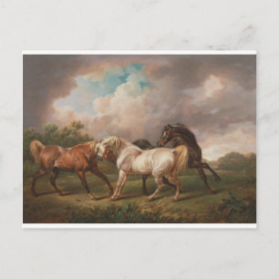 Charles Towne Art Painting Oil Horses Destiny Postcard