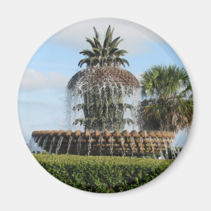 Charleston SC Pineapple Fountain Magnet
