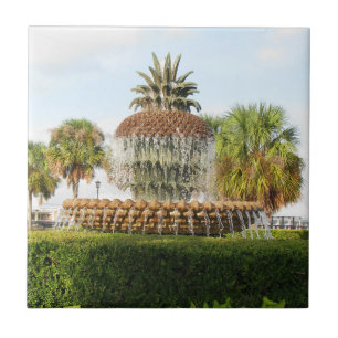 Charleston SC Pineapple Fountain, Waterfront Park Tile