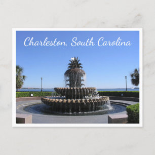 Charleston SC South Carolina, USA Waterfront Park Postcard
