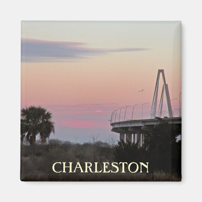 Charleston Souvenir Photo Magnet (Front)
