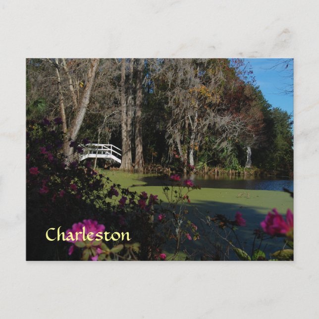 Charleston Swamp Garden Postcard (Front)