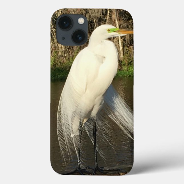 Charlie iPhone Cases (Back)