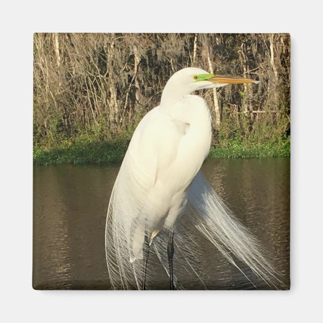 Charlie Magnet (Front)