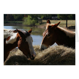 Charlie Mule and Dulce Maria