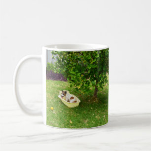 Charlie The Fox Terrier Bath Time, Coffee Mug
