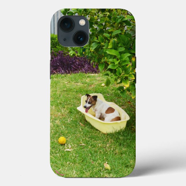 Charlie The Fox Terrier Bath Time, iPhone 13 Case (Back)