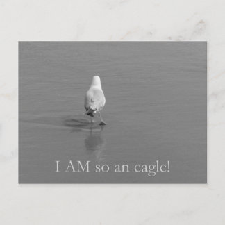 Charlie the lonely seagull - I am so an eagle! Postcard