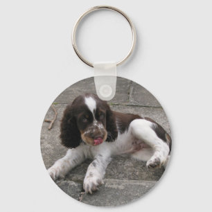 Charlie The Springer! Key Ring