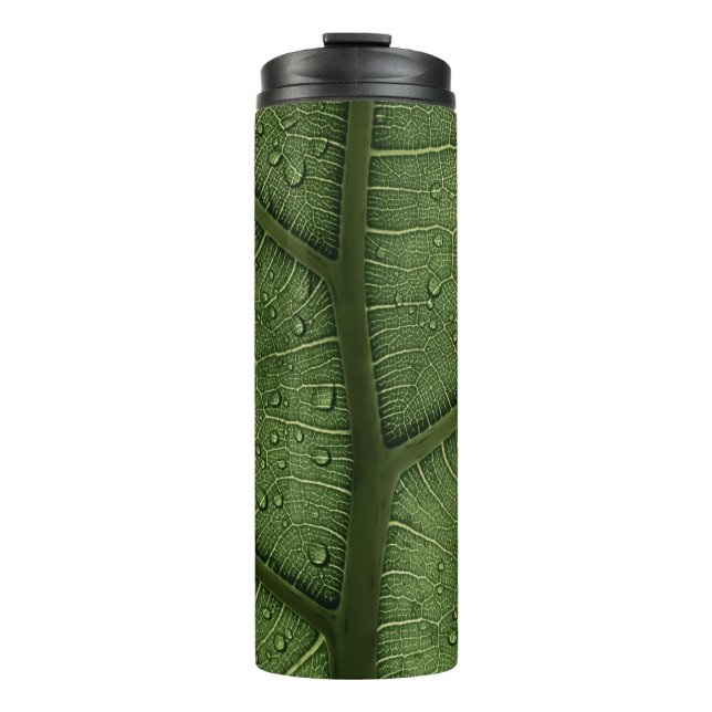 Charlotte Thermal Tumbler (Front)