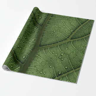 Charlotte Wrapping Paper