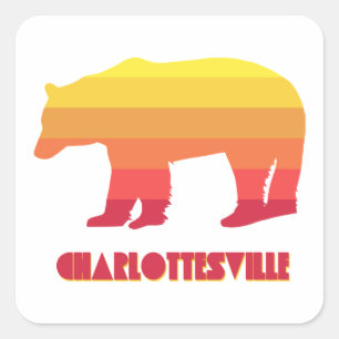 Charlottesville Virginia Rainbow Bear Square Sticker