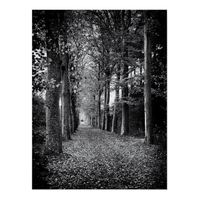 Charming black and white forest photo poster (Front)