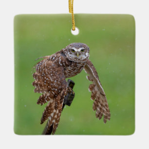 Charming Burrowing Owls of Florida Ceramic Ornament