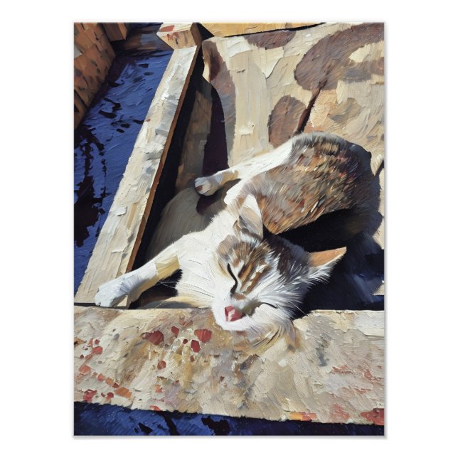 Charming Cat Relaxing in Sunlight Photo Print (Front)