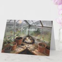 Charming Catnap in Greenhouse Encouragement Card
