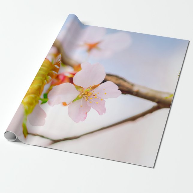 Charming Chic Sakura Flower And Leaves In Spring Wrapping Paper (Unrolled)