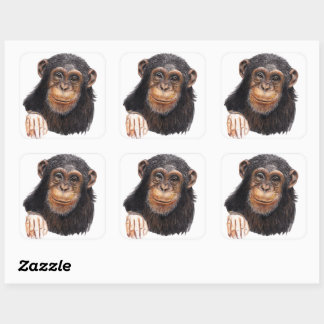 Charming Chimpanzee Square Sticker