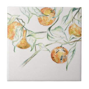 Charming Citrus Fruit Outgoing Orange Tile