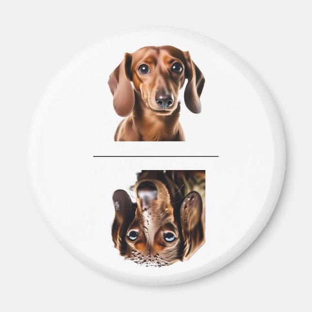 Charming Dachshund Clean/Dirty Dishwasher Magnet (Front)