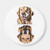 Charming Golden Retriever Dishwasher