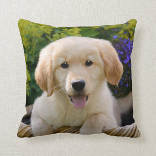 Charming Goldie Cute Puppy Portrait, Square Cushion