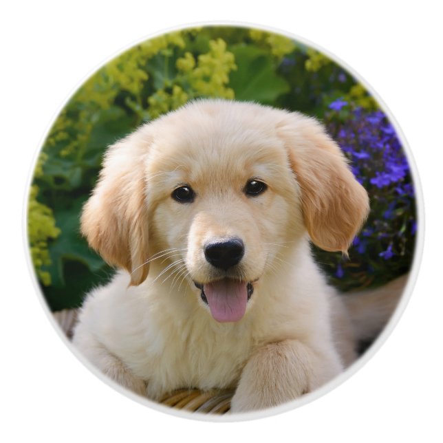 Charming Goldie Dog Puppy Portrait, Decorative Ceramic Knob (Front)