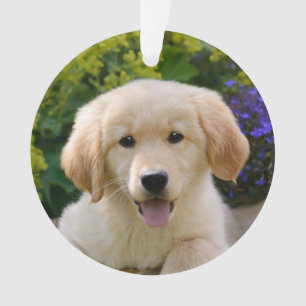 Charming Goldie Retriever Dog Puppy  - Ornament