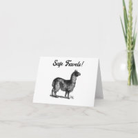 Charming Llama Sketch, Cute Animal Ink Drawing