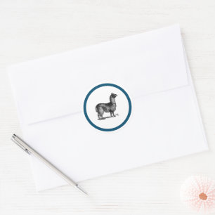 Charming Llama Sketch, Cute Animal Ink Drawing Classic Round Sticker
