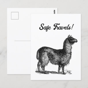 Charming Llama Sketch, Cute Animal Ink Drawing Postcard