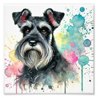 Charming Miniature Schnauzer Watercolor Art