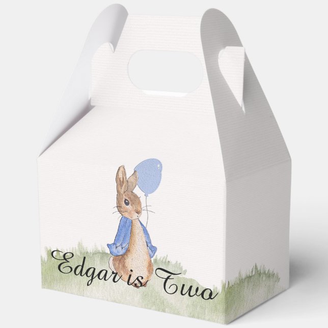 Charming Peter Rabbit Themed Party Boxes (Front)