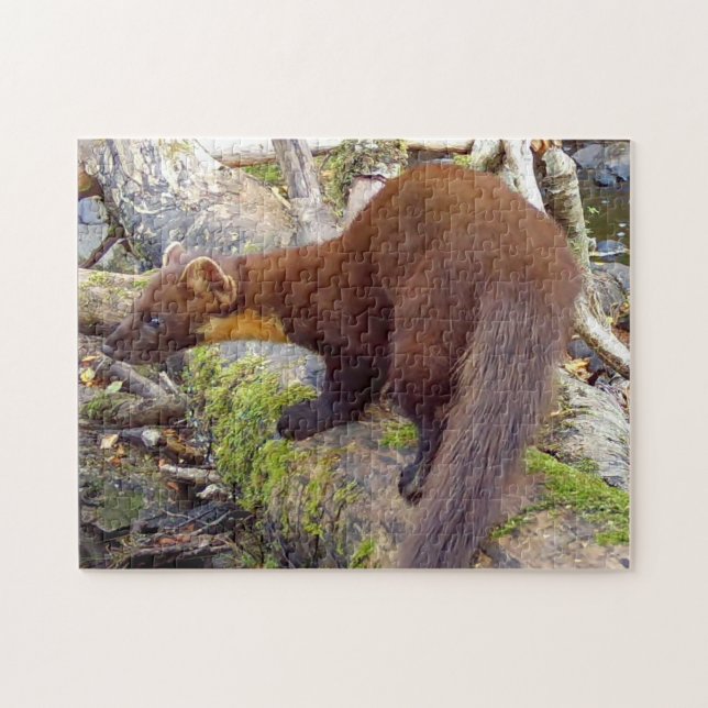 Charming Pine Marten Woodland Scene Nature Jigsaw Puzzle (Horizontal)