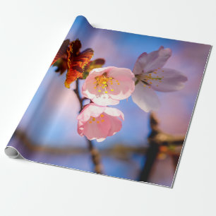 Charming Sakura Blossoms Wrapping Paper