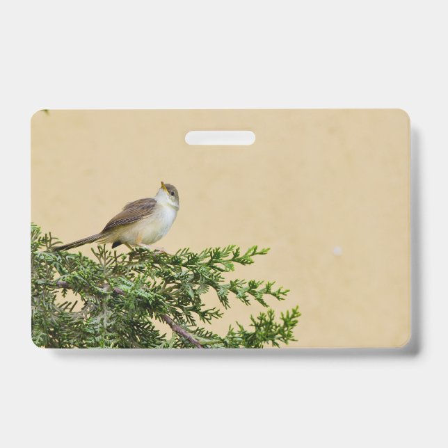 Charming Sparrow Bird Photograph ID Badge (Front)