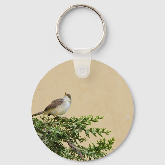 Charming Sparrow Bird Photograph Key Ring (Front)