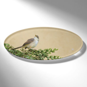 Charming Sparrow Bird Photograph Name Tag