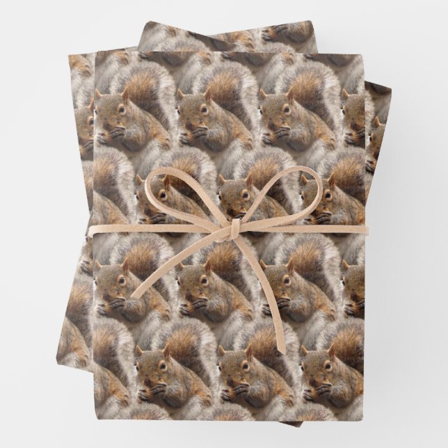 Charming Woodland Squirrel Gift Wrap (In situ)