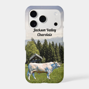 Charolais Bull