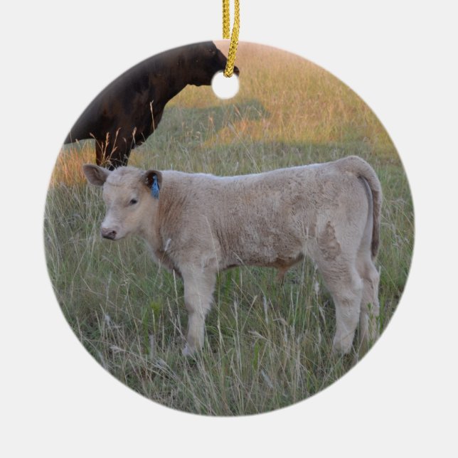 Charolais calf ceramic tree decoration (Front)
