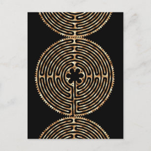 Chartres Labyrinth Pearl Dark Paths Postcard