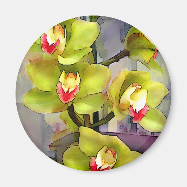 Chartreuse Cymbidiums Magnet (Front)