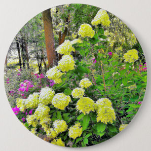 Chartreuse Green Limelight Hydrangea Garden 6 Cm Round Badge