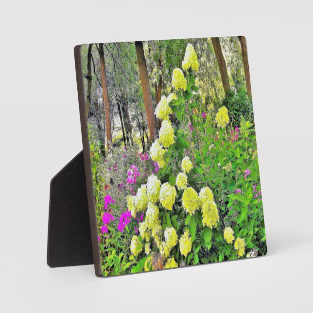 Chartreuse Green Limelight Hydrangea Garden Plaque (Front)